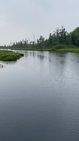 Light Rain on a Wisconsin Stream