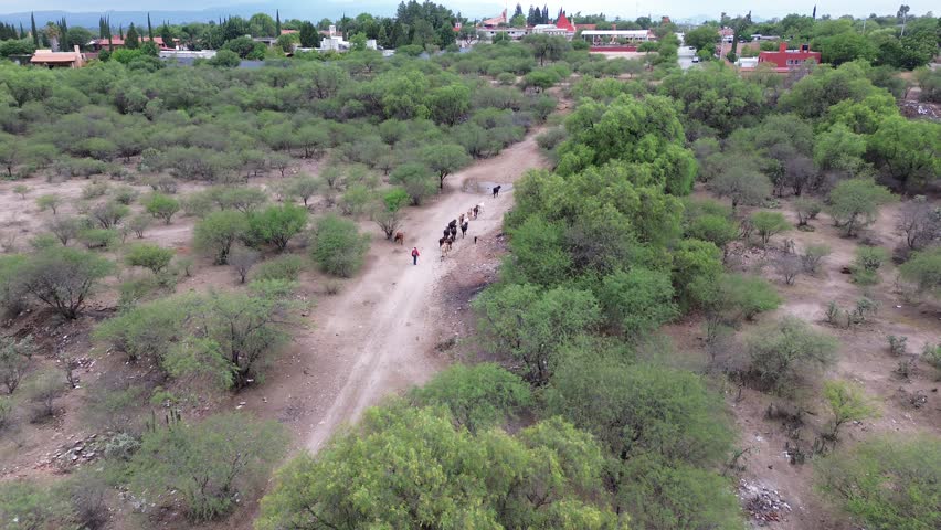 In the mountains you find a little shepherd who herds sheep. Surrounded by a green and populated desert, with arid and well laid out roads.