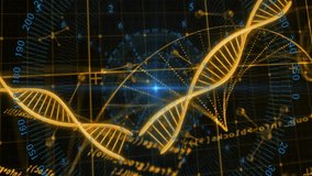 DNA strand and numerical data processing animation over scientific grid background. Science, technology, genetics, biotechnology, analysis, digital - Powered by Shutterstock - Get 15% off with code: PIKWIZARD15