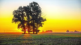 Golden sunrise over farmland fields and trees - time lapse - Powered by Shutterstock - Get 15% off with code: PIKWIZARD15