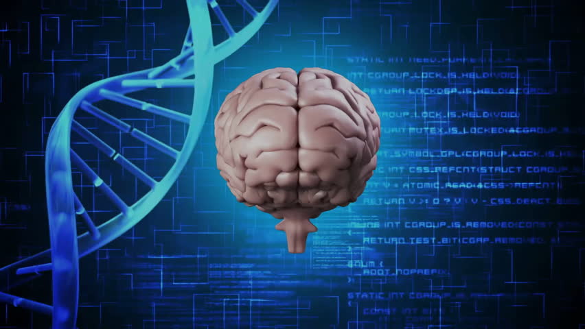 Animation of digital data processing over dna strand and human brain. Global artificial intelligence, connections, computing and data processing concept digitally generated video. - Powered by Shutterstock - Get 15% off with code: PIKWIZARD15