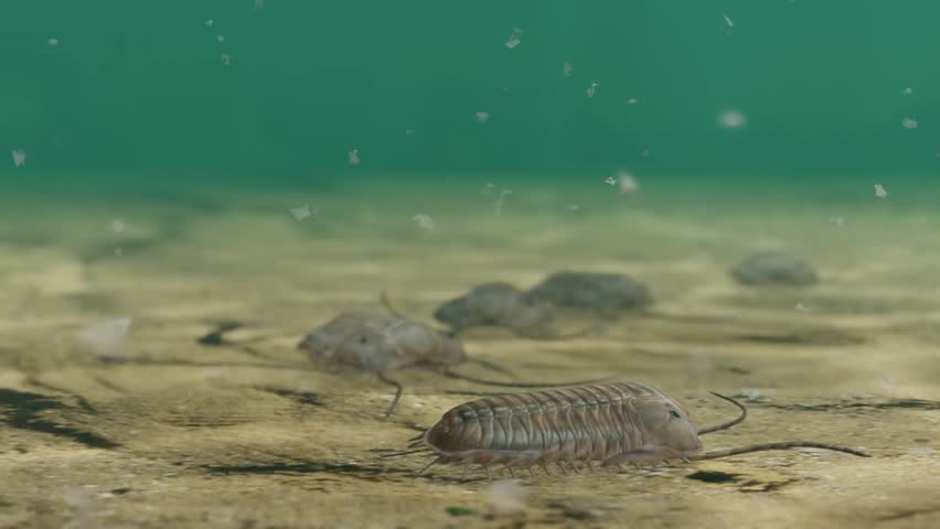 An animation of prehistoric Trilobites scavenging on a Silurian Period seafloor 420 million years ago.