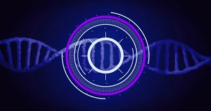 DNA strand and circular digital interface, scientific data processing animation. Science, technology, genetics, biology, molecular, research - Powered by Shutterstock - Get 15% off with code: PIKWIZARD15