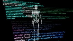 Human skeleton with programming code animation over dark background. Technology, digital, cybersecurity, data, futuristic, coding - Powered by Shutterstock - Get 15% off with code: PIKWIZARD15