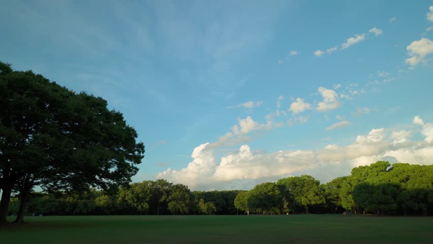 Summer evening park and cumulonimbus clouds over trees. 1.5x speed.
