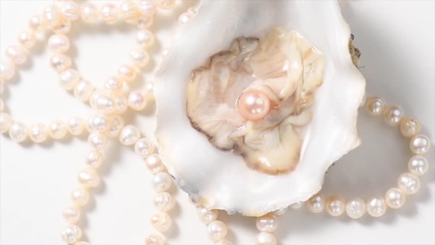 Pearls, One Natural pearl inside the oyster shell, close up, on white background. Nacre. Pearl necklace. Mother-of-pearl. Jewellery. Wealth concept. Rotating background, top view 