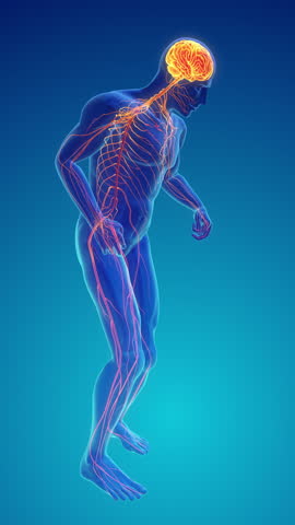 Degenerative Disease of the Nervous System or Parkinson's disease