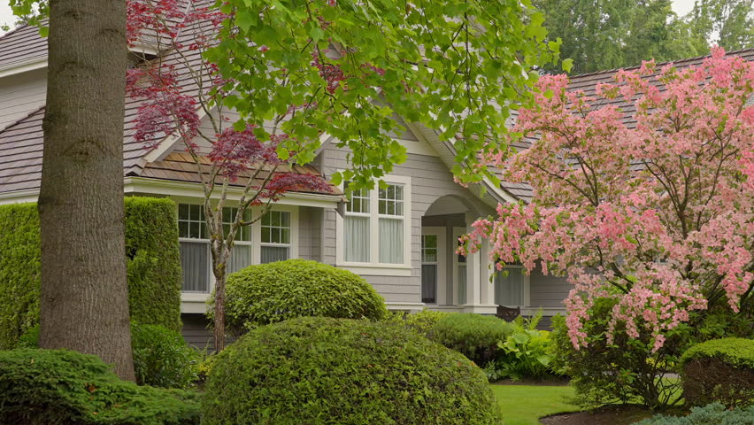 Establishing shot of two story stucco luxury house with big tree and nice landscape at spring rainfall in Vancouver, Canada, North America. Day time on June 2024. ProRes 422 HQ.