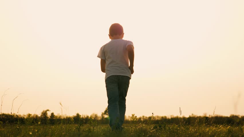 boy son child running grass son sun sunset field park playground joyful happy running children's dream forward, carefree child park, child horizon pursuit, boy pursuit outdoor, boy running free, solo