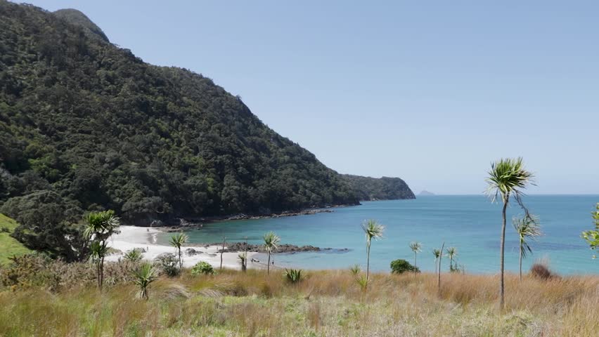 Smugglers Bay, located in the Bream Head Scenic Reserve near Whang?rei Heads in Northland, New Zealand, is a true hidden gem along the North Island