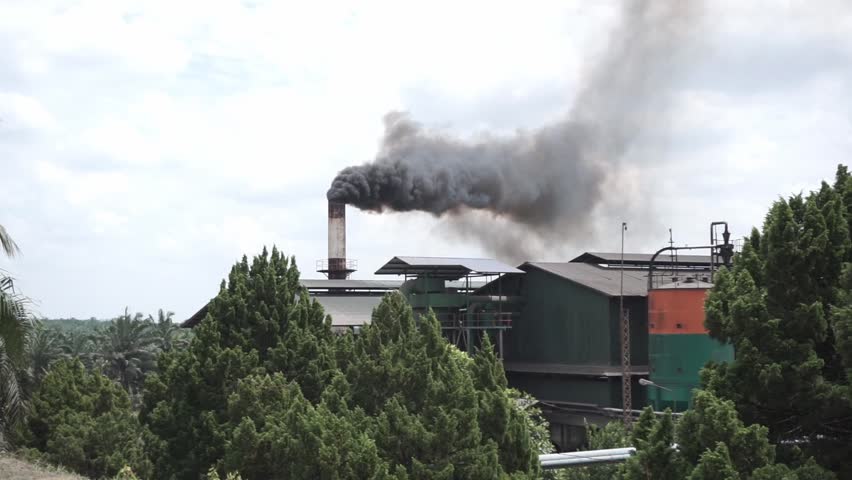 Industrial factory pollution from palm oil factory in Indonesia. Smoke coming out of the chimneys at the sunny day