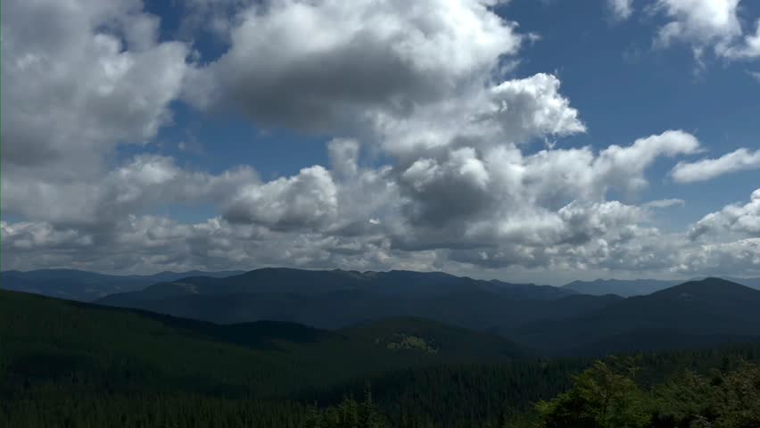 Mountainous landscape of ukraine in summertime. Trees on the grassy meadow