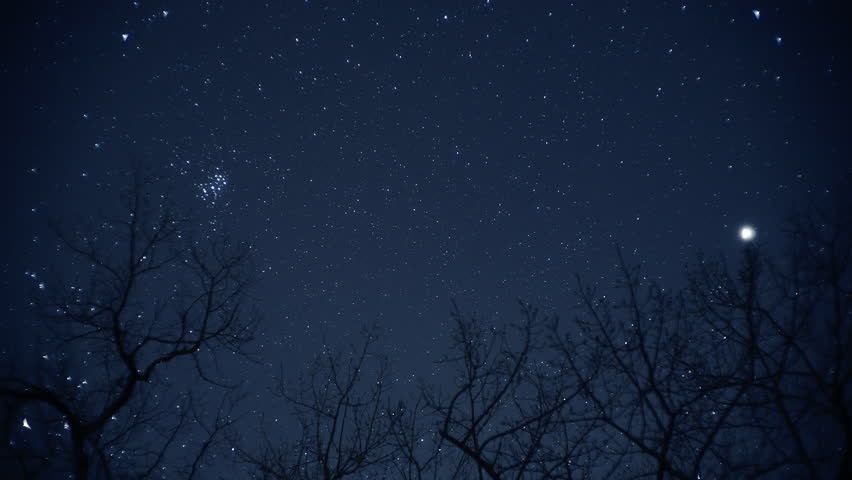 Timelapse of the night sky full of stars with leafless trees in the foreground.