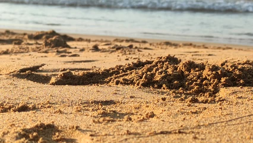 crab digging sand to make a hole on the beach, close up video of crab