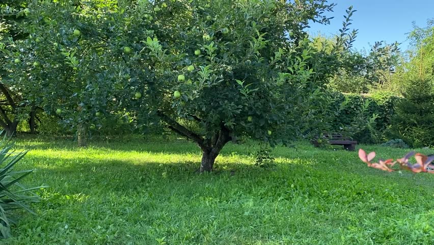 A young father and his son enjoy quality time together, fishing at a pond. The father teaches his son the basics of fishing, creating cherished memories during their outdoor family bonding experience
