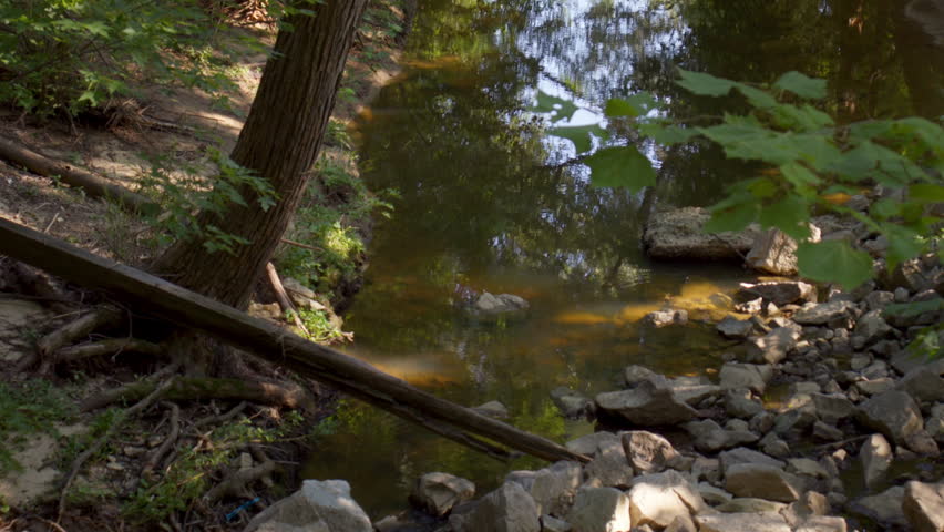 Calm creek near Brian Brown Greenway trail in Martin, Tennessee, U.S.
