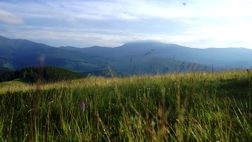 landscape in the mountains silhouettes of peak, forest, travel, in green tones, sunset, sunrise, cloud, Carpathian, mountain ranges