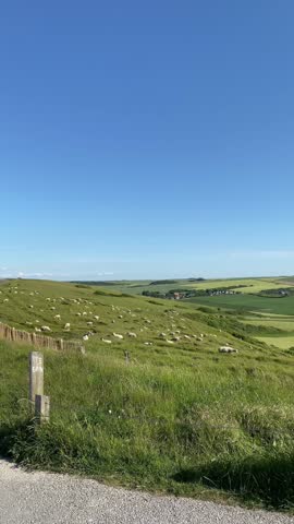Video taken at Cap Blanc Nez, northern France, côte d'Opale. Video of a meadow or field with sheep. The view is magnificent, with green grass and the English Channel in the distance. 