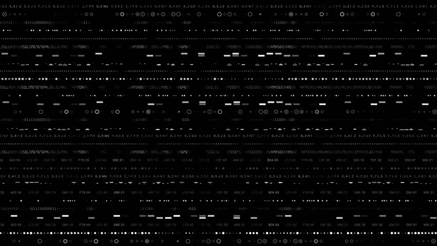 Shutterstock Video