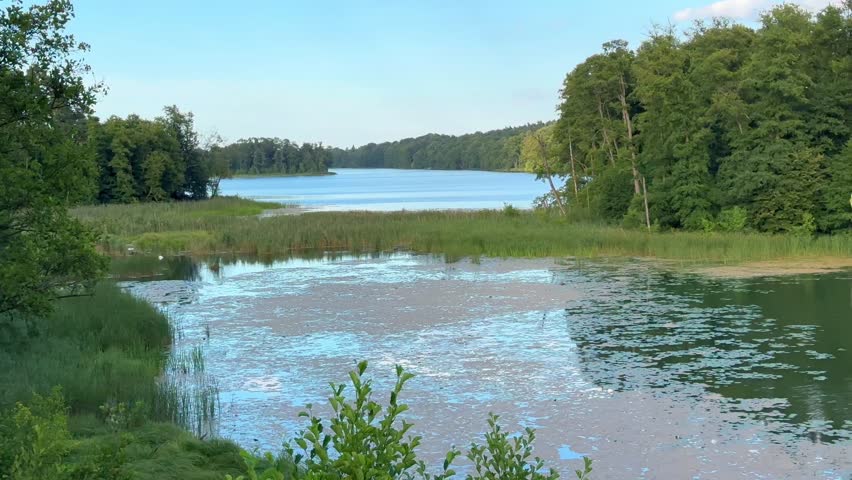 Serene Lake Scene with Expanding View. Shot in slow motion, highlights the peaceful atmosphere with clear reflections and vibrant greenery. Ideal for nature-themed projects, background visuals etc.