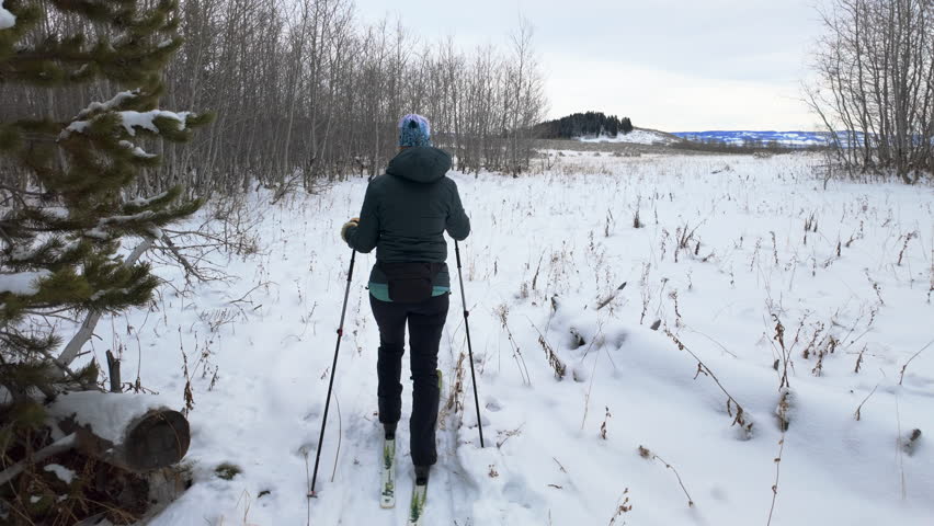 Cross Country Skiing in South West Montana