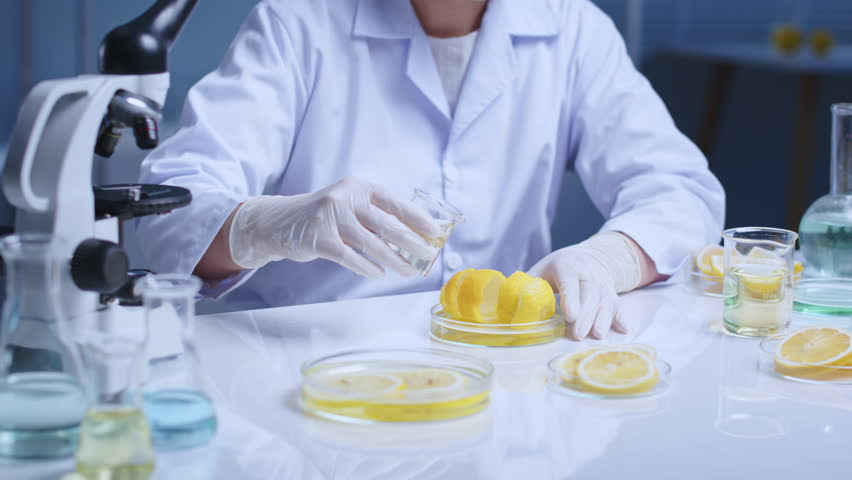 Footage for lemon peel extract products commercial video, a scientist hold glass beaker and pour light yellow liquid into a glass petri contains yellow lemon peel, which placed on white lab table
