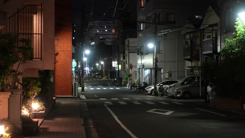 Toyocho in Japan Tokyo Night View 2024