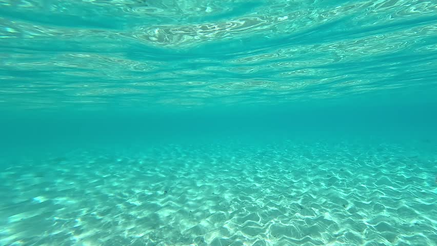 Close-up of Smallspotted dart fish (Trachinotus baillonii) swimming in shallow water. Video captures their detailed movements and interactions in clear, tranquil waters of the Maldives.