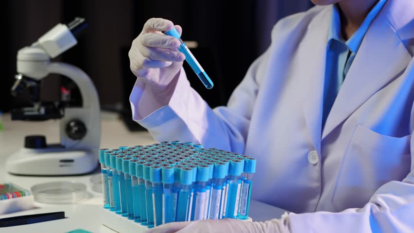 Recording experimental results in the laboratory for planning Science review or checklist Scientists report and write the results of tests, solutions, drugs, documents, and medical research.