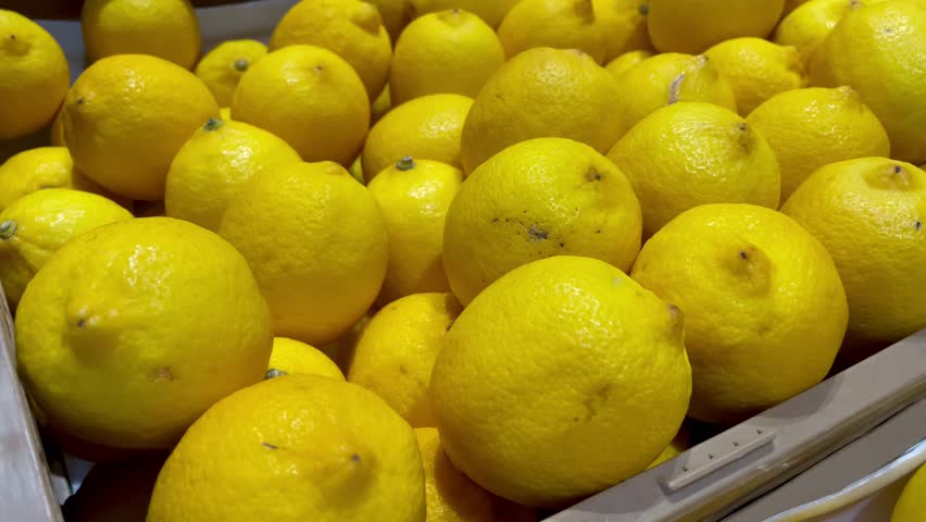 a lot of fruits. market. store. background. citruses. healthy food. natural. food. health. Vegeterian. diet. Orange fruit. Lemon. Yellow lemon.Top view