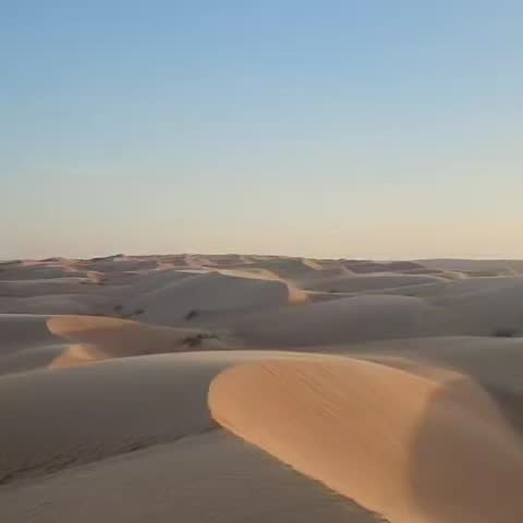 Large, beautiful desert hills and widespread desert plants