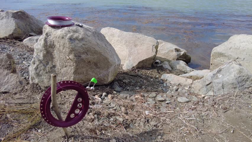 A hooked carp fishing rod with a bell attached to it, thrown into the lake for fishing.