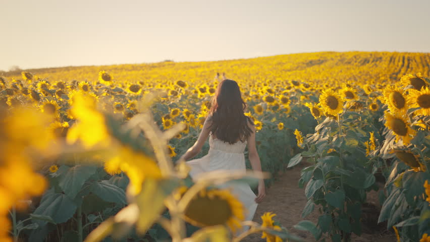 Carefree Happy beautiful young asian woman in white dress opened arms up in air and looking at sunset in a large field of sunflowers, Freedom concept, Enjoyment, Summer time.