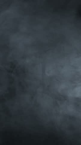 Shutterstock Video