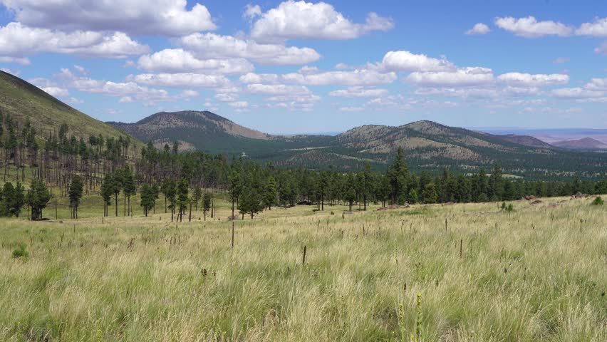 Coconino National Forest Landscapes near Flagstaff Arizona, America, USA.
