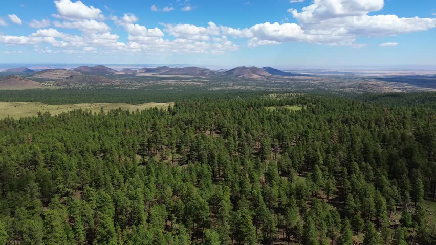 Aerial Views in Coconino National Forest Landscapes near Flagstaff Arizona, America, USA.