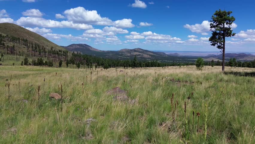 Aerial Views in Coconino National Forest Landscapes near Flagstaff Arizona, America, USA.