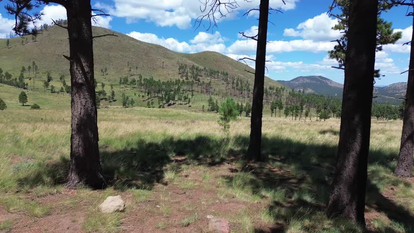 Aerial Views in Coconino National Forest Landscapes near Flagstaff Arizona, America, USA.