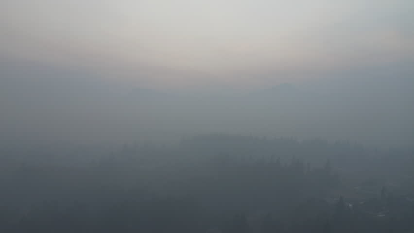 Dark Smoke Wildfire Engulfing Forest In Columbia River Gorge In Oregon, United States. Aerial Drone Shot