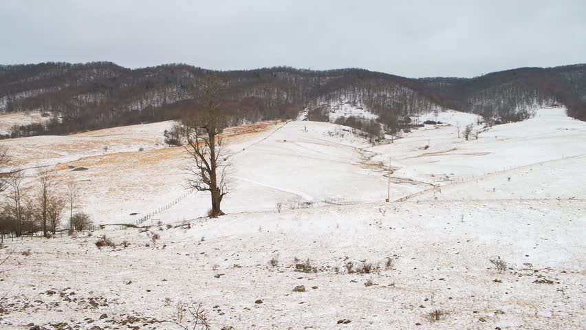 Highland county Virginia rural countryside farm by rolling hills with maple trees forest at cold snow winter in Blue Grass village