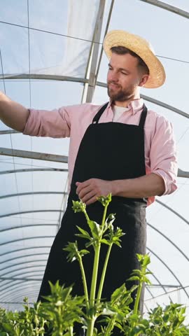 Working, watering flowers by using can. Man is in the greenhouse.