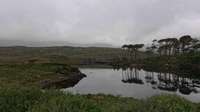 A wide angle camera smoothly captures a panoramic view of Pine Island in Galway, Ireland, highlighting the iconic pine trees and their reflections on the tranquil lake