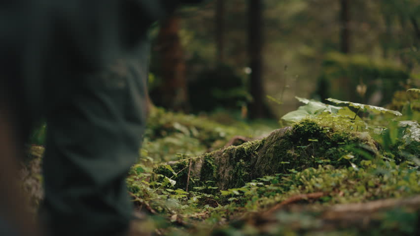 Close up gimbal shot of male hiker walking along path in rainy mountain forest, foot steps on stones covered with green moss. Man trekking in woodland. Slow motion steady shot