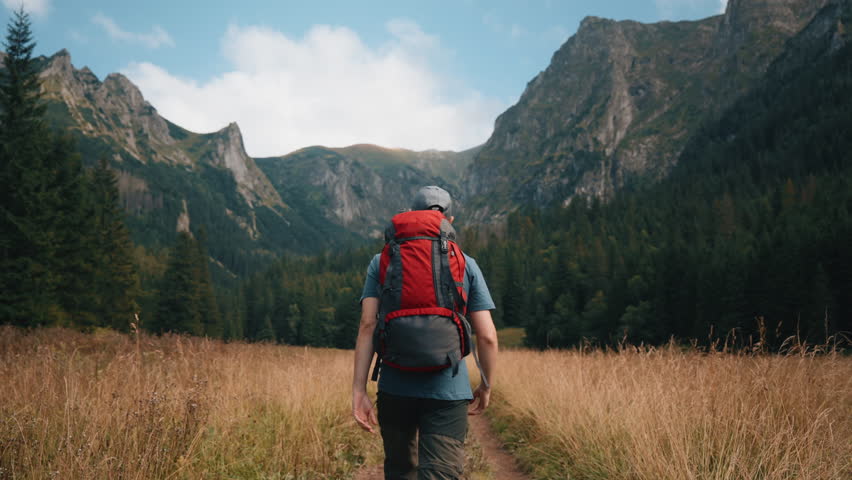 Rear view following shot caucasian man hiker with red backpack walking along trail yellow dry grass field overlooking mountains covered with pine woods, rocky peaks, male backpacker, mountain valley