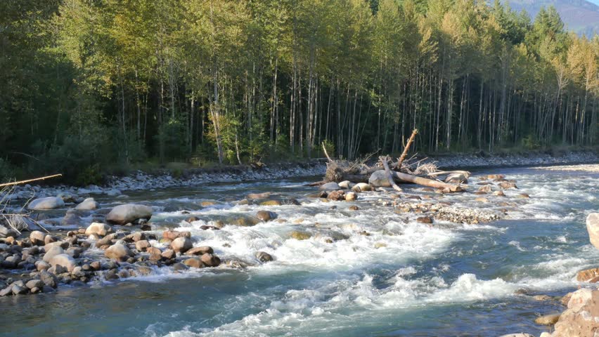 Chilliwack River during a summer season in Chilliwack, British Columbia, Canada