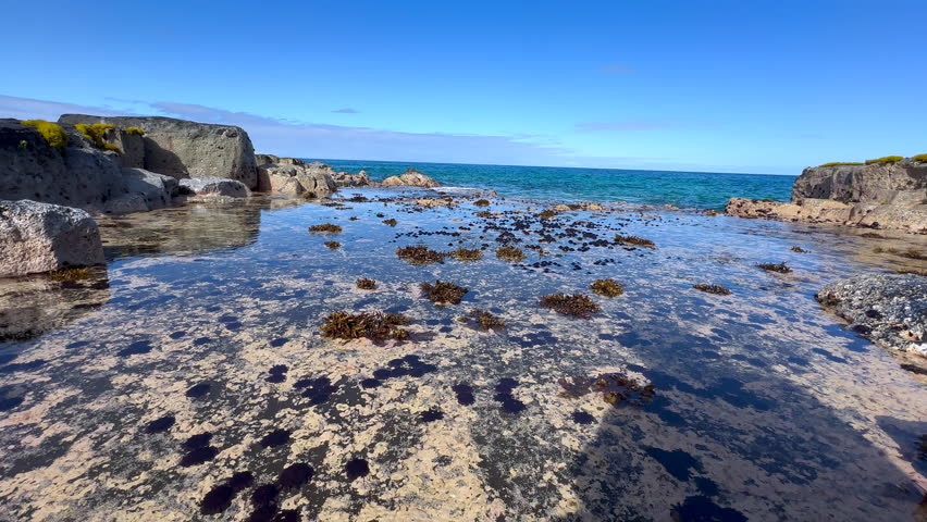 Tide Pools Lava Rock Formations at Wawaloli Beach Park, Big Island, Hawaii. Beautiful Contrast between the Dried Lava and Blue Ocean. Waves Splashing Against the Shoreline. Sea Urchins and Algae.
