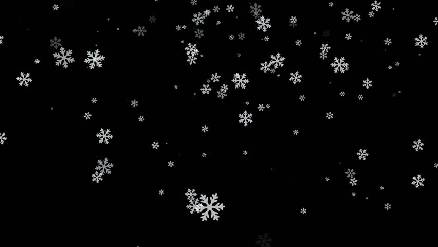 Snowflakes falls animation. Christmas snow flakes on black background. Christmas and new year video element. High quality 4K seamless loop footage
