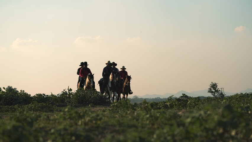 Cowboys with revolver riding horses in wild field at sunset