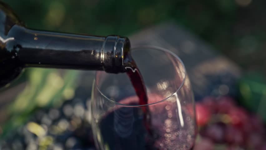 Stunning view of pouring white wine into glass goblet with fresh grape bunch background, sun light breaks through vineyard. 