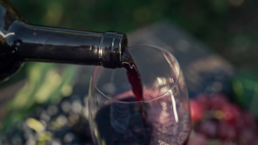 Stunning view of pouring white wine into glass goblet with fresh grape bunch background, sun light breaks through vineyard. 